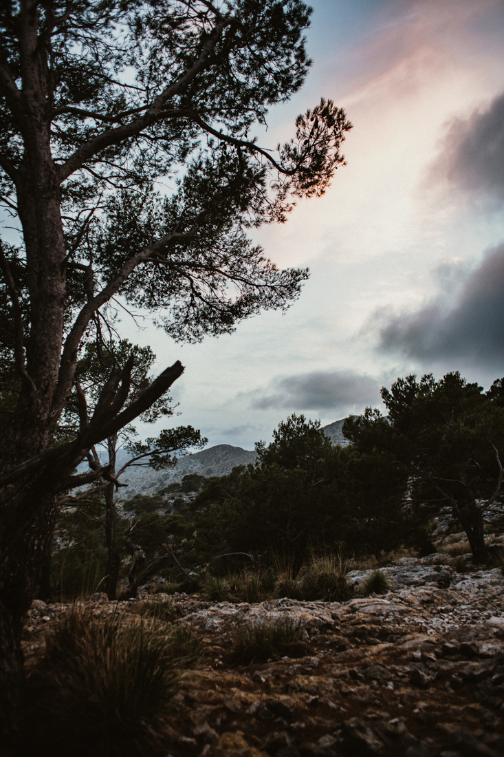 After-Wedding Shooting auf Mallorca