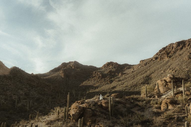 SAGUARO AFTER WEDDING